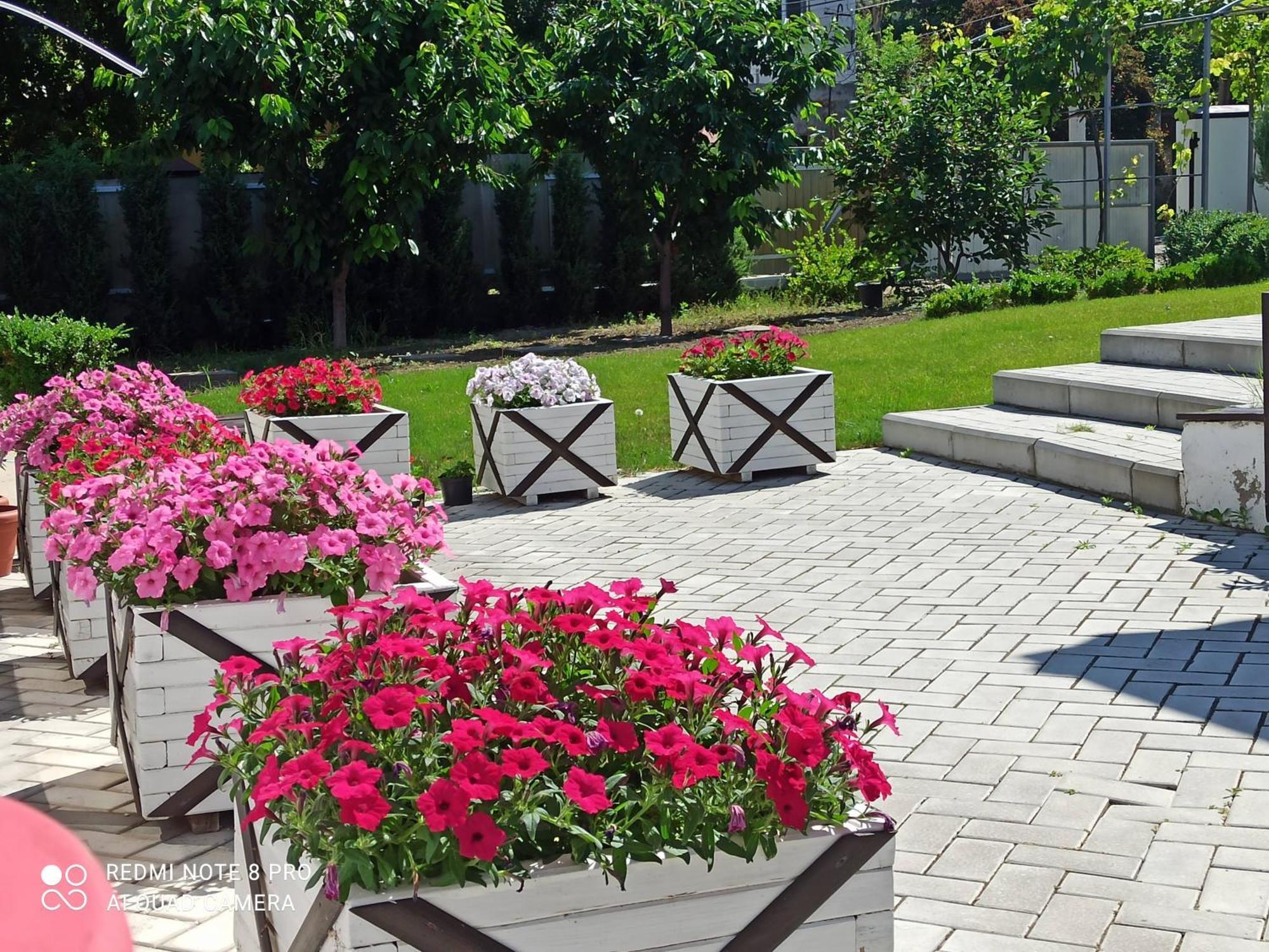 Экодом Hotel Bilhorod-Dnistrovsʼkyy Екстериор снимка